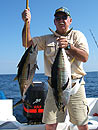 Similan Island Yellowfin Tuna.