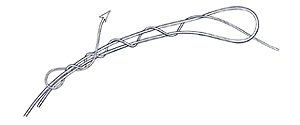 Albright Knot Step 3