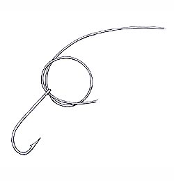 Blood Knot Step 2
