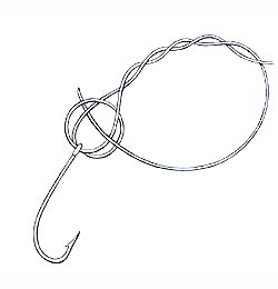 Blood Knot Step 4