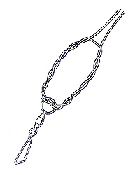 Cat's Paw Step 4