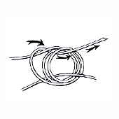 Centauri Knot Step 4