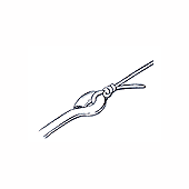 Centauri Knot Step 6