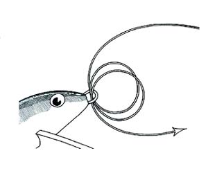 Collar & Capstan Knot Step 2