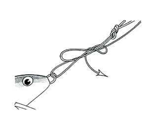 Collar & Capstan Knot Step 3
