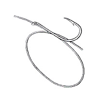Common Snell Step 1
