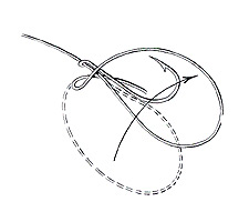 Common Snell Step 2