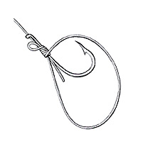 Common Snell Step 3