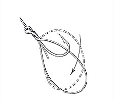 Common Snell Step 4