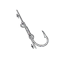 Common Snell Step 5