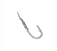 Common Snell Step 6