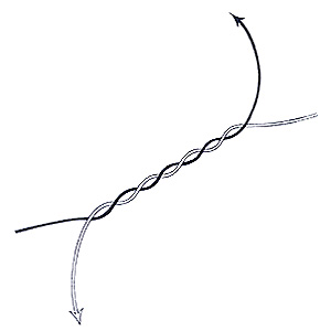Double Four Fold Blood Knot Step 2