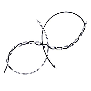 Double Four Fold Blood Knot Step 3