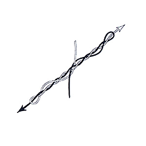 Double Four Fold Blood Knot Step 4