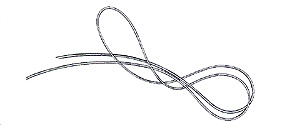 End Loop Step 1