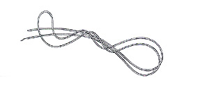End Loop Step 2