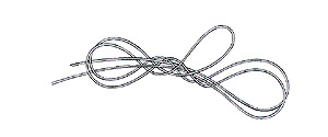 End Loop Step 3