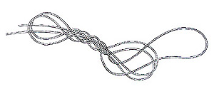 End Loop Step 4