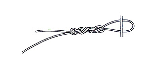 End Loop Step 5