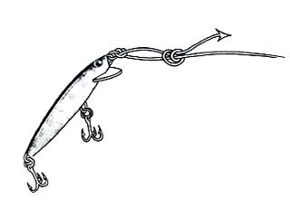 Homer Rhode Loop Step 5