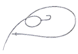Nail Knot with Loop Step 1