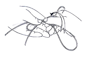 Nail Knot with Loop Step 3