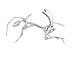 Penny Knot Step 5