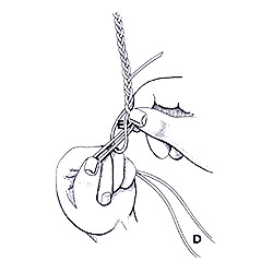 Plaiting a Double Step 16