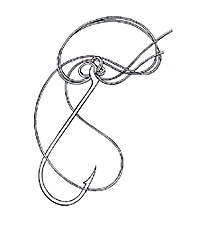 Triple Palomar Knot Step 4