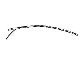 Twisted Leader Knot Step 1