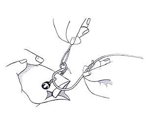 Bridle Rigging Step 5