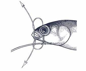 Skip Bait Rigging Step 11