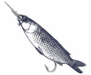 Skip Bait Rigging Step 14
