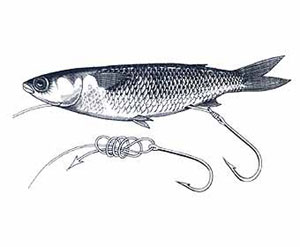 Skip Bait Rigging Step 3