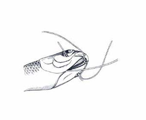 Skip Bait Rigging Step 6