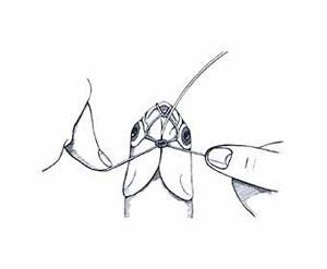 Skip Bait Rigging Step 8