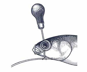 Skip Bait Rigging Step 9