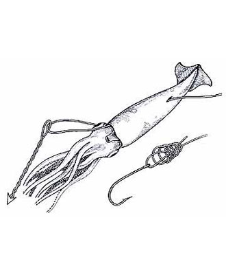 Squid Rigging Step 2