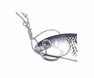 Swim Bait Rigging Step 13