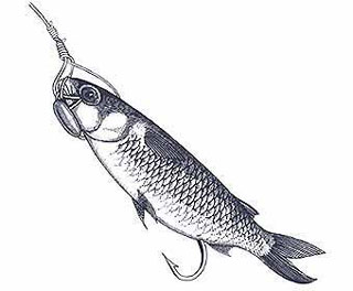 Swim Bait Rigging Step 14
