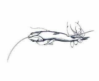 Swim Bait Rigging Step 2