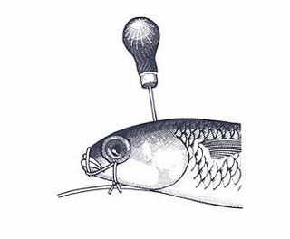 Swim Bait Rigging Step 9