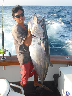 XXL Dogtooth Tuna!