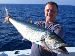 Narrow-barred Spanish Mackerel during a day charter
