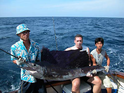 Sailfish near Phuket.