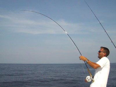 Sailfish on fly at Ko Rok - Thailand.