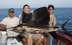 Sailfish from the Similan Islands.