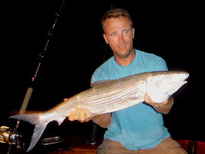 Bonefish fra Similan erne - Thailand.
