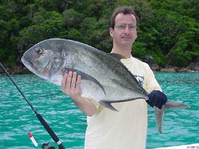 Giant Trevally near the Surin Islands - Thailand.